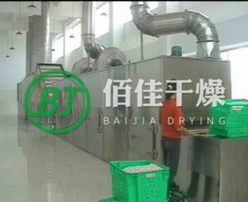 DWT-帶式干燥機